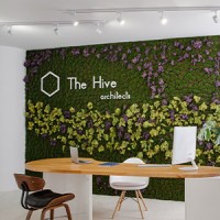 The Hive Architects