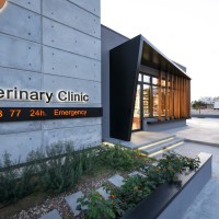 Limassol Veterinary Clinic