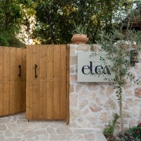 Olive Diaries | Maison Elea